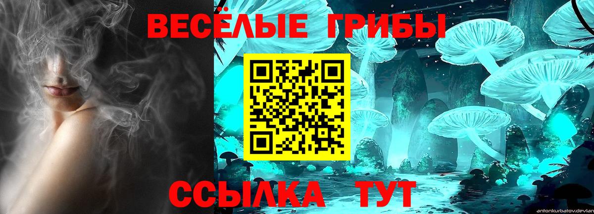 Галлюциногенные грибы Cubensis  Галлюциногенные грибы мухоморы  Ачхой-Мартан 