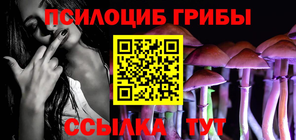 Ачхой-Мартан  Псилоцибиновые грибы мухоморы  Вход с VPN 